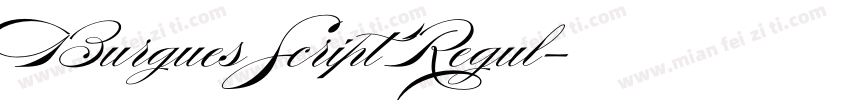 Burgues Script Regul字体转换